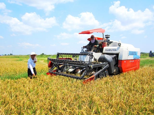 Quang Tri Gathers Resources for High-tech Agriculture Development