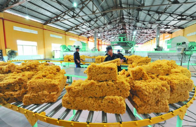 Vietnam Rubber Group: Upholding Tradition and Advancing Sustainable Development