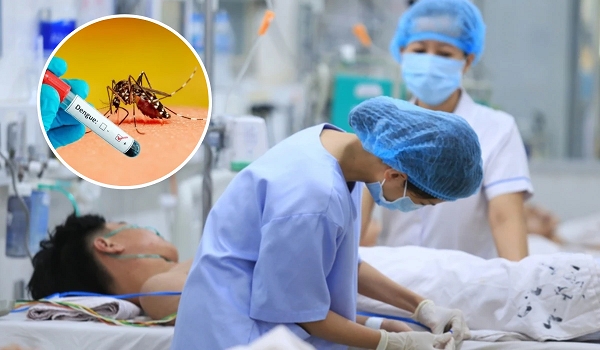 Hanoi Paid 152 Billion VND in Health Insurance Medical Examination and Treatment Fees for Dengue Fever Patients